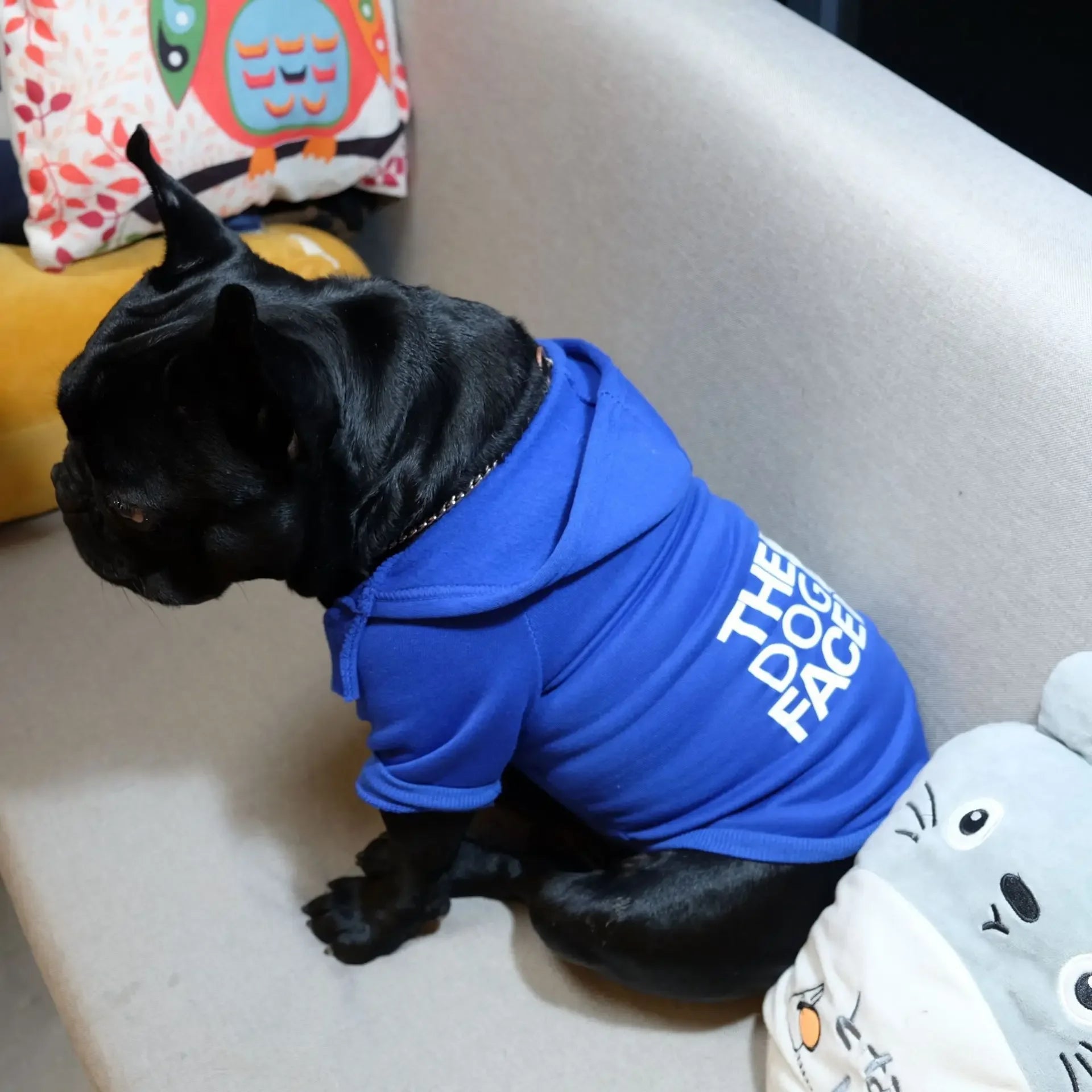 The Dog Face Reflective Hoodie – Stylish Winter Warmth for Dogs