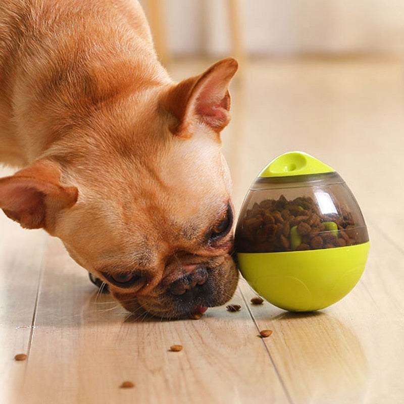 Interactive Treat Dispenser